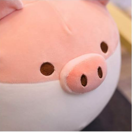 Soft Fat Pig Plush Pillow – Huggable Stuffed Animal for Kids, Teens & Plush Lovers (19.7”)